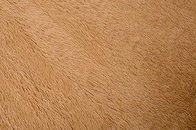 TA Koberec BEIGE BEIGE SILK Béžový Obdĺžnikový Rozmer: 120x170 cm