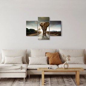 Obraz slona (90x60 cm)