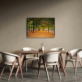 Sklenený obraz aleje jesenných stromov (70x50 cm)