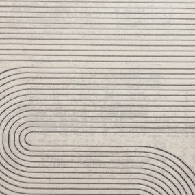 Sivý/béžový koberec 220x160 cm Apollo - Think Rugs