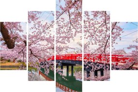Obraz - Hirosaki, Japonsko (150x105 cm)