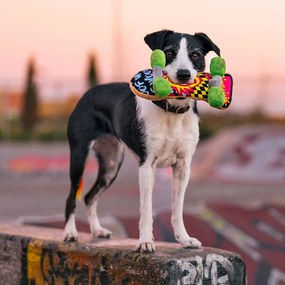 Hračka pre psa Skateboard – P.L.A.Y.