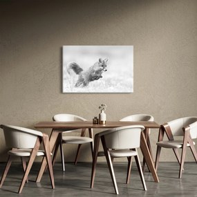 Obraz - Skákajúca líška, čiernobiela (90x60 cm)