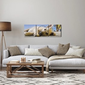 Obraz ležiaceho šteňaťa (s hodinami) (90x30 cm)