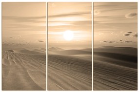 Obraz na plátne - Púštny západ slnka 1917FB (150x100 cm)
