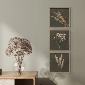 Obrazy v súprave 3 ks 30x30 cm Pampas – Styler