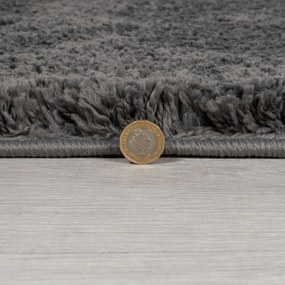 Flair Rugs, Kusový koberec Shaggy Teddy Charcoal, 120x170, šedá, obývacia izba