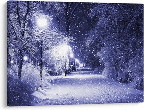 Obraz - Čarovná zimná noc (70x50 cm)
