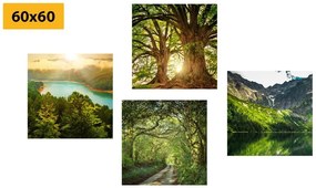 Set obrazov nádherná zelená príroda - 4x 40x40