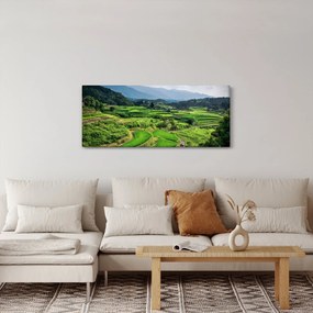 Obraz ryžových polí (120x50 cm)