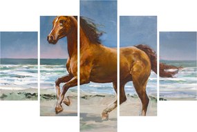 Obraz koňa na pláži (150x105 cm)