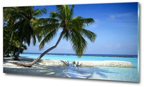 Foto obraz fotografie na skle tropická pláž osh-64894239