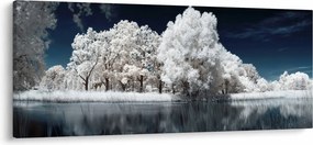 Obraz - Snehobiele stromy (120x50 cm)