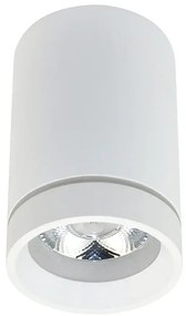 LED bodové svetlo Bill biele