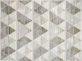 TA Koberec E460A SVETLO SIVÁ/TMAVOZELENÁ ASTHANE Rozmer: 80x150 cm