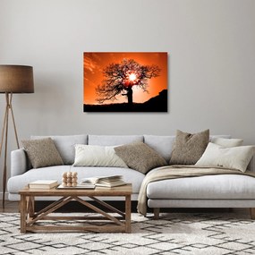 Sklenený obraz - Dub pri západe slnka (70x50 cm)