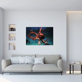Obraz - Chobotnica (90x60 cm)