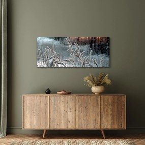 Obraz - Zamrznutá lúka (120x50 cm)