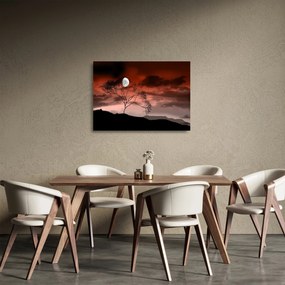 Sklenený obraz - Mesiac osvetľujúce noc (70x50 cm)