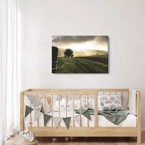 Obraz lúky (90x60 cm)