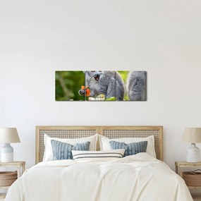 Obraz lemura (s hodinami) (90x30 cm)