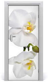 Samolepiace fototapety na dvere biela orchidea 75x205 cm