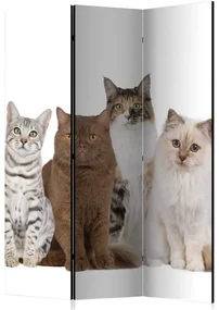 Artgeist Paraván - Sweet Cats [Room Dividers]