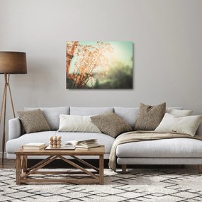 Sklenený obraz - Rastliny po daždi (70x50 cm)