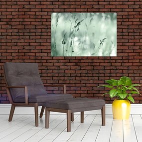 Obraz - Zelená lúka (90x60 cm)