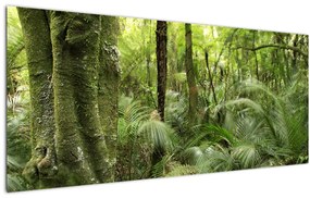 Obraz Tropický dažďový prales (120x50 cm)