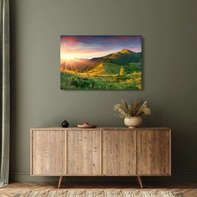 Obraz - Letná krajina (90x60 cm)