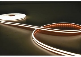 Rabalux 79021 - LED RGBW Stmievateľný pásik STRIP LED/21W/230V 5 m IP67 + DO