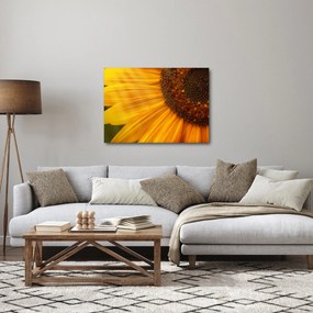 Obraz - Slnečnica (70x50 cm)