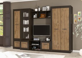 Elegantná obývacia stena NOKA, wenge, dub april