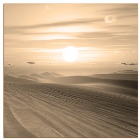 Obraz na plátne - Púštny západ slnka - štvorec. 3917FA (50x50 cm)