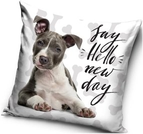 Vankúš s Pitbullom - motív Say hello new day - Pozdrav nový deň - 40 x 40 cm