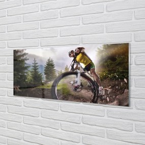 Obraz plexi Cloud na horskom bicykli 120x60 cm