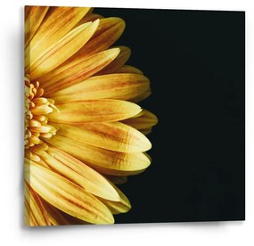 Sablio Obraz Žltá gerbera - 50x50 cm