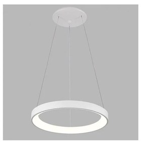 LED2 - LED Luster na lanku BELLA SLIM LED/38W/230V 3000/4000K biela