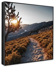 Obraz 50x50 cm Mountain Path