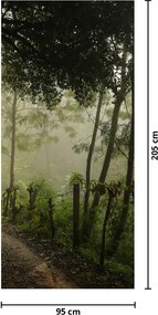 Fototapeta na dvere - Ranná hmla (95x205cm)