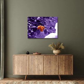 Obraz - Morská pláž (70x50 cm)