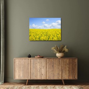Obraz žltého poľa (70x50 cm)