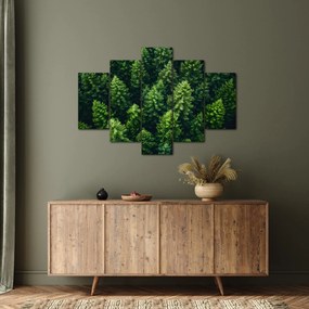 Obraz - Les (150x105 cm)