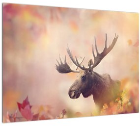 Sklenený obraz - Sob v jesennom lístí (70x50 cm)