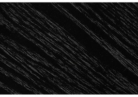 Okrúhly konferenčný stolík v čierno-prírodnej farbe ø 80 cm Makoto – White Label