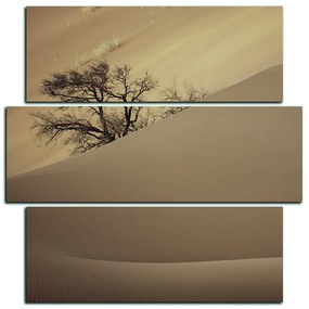 Obraz na plátne - Červené piesočné duny - štvorec 3133FD (105x105 cm)