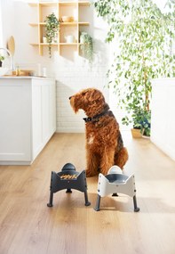 Rotho Výškovo nastaviteľná miska pre psy a mačky, 1l SAMMY - antracit