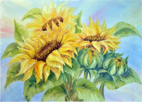 Sklenený obraz rozkvitnutých slnečníc (70x50 cm)