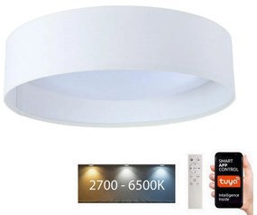 BPS Koncept LED Stmievateľné svietidlo SMART GALAXY LED/24W/230V pr. 45 cm Wi-Fi Tuya + DO BS0599